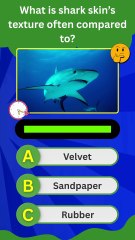 Shark Skin Quiz: Can You Score 4/4? 🦈🌊 | Marine Biology Trivia for Animal Lovers!