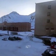 Kutup ayısı dehşeti! Türk vatandaşı Svalbard'da ölümden döndü