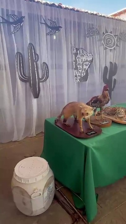 Polícia Ambiental realiza atividade educativa em escola de Patos em celebração à Semana da Caatinga