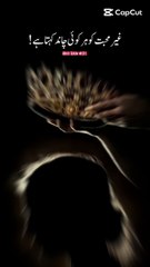 lv_7331148448013536519_20250430000959