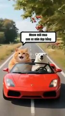 #trendingrells#animasi#trending#fyp#cat