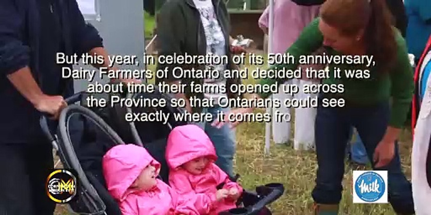 50th Anniversary of Dairy Farmers _ Corporate Promo Piece 3