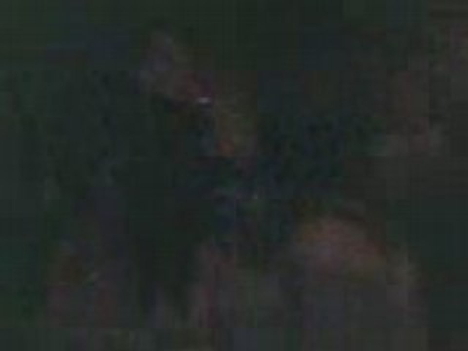 Classe bal mar et amel qui dansent