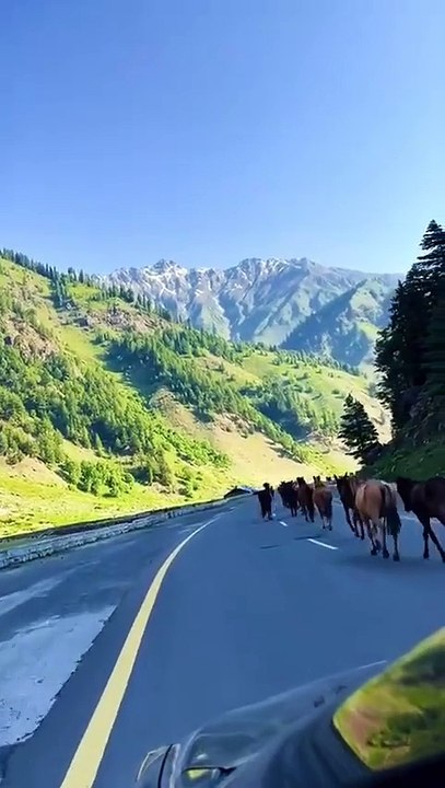 Kashmir Valley / Azad Kashmir / Trip View