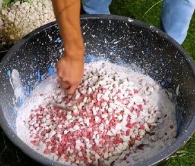 Turn Your Outdoor Time into Yard Crafting Gold!