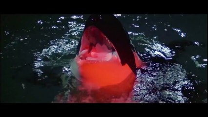 Orca, la ballena asesina | movie | 1977 | Official Trailer