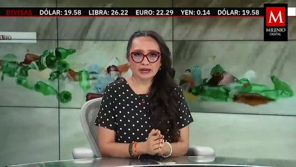 Atleta mexicana nadará en mar abierto para concientizar sobre la ballena jorobada | Milenio Hábitat