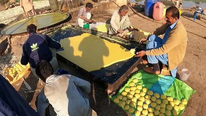 Unseen Beautiful Village Life in Pakistan | Beautiful Old Culture of Punjab