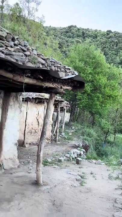 ssstik.io_@imdadtakwar_1745983670394