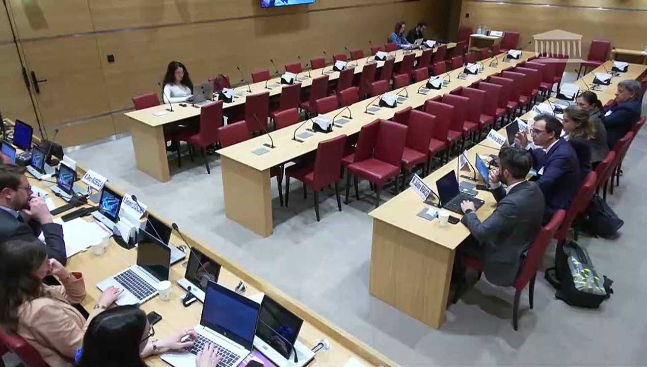 Défaillances des pouvoirs publics face aux plans de licenciements : Représentants du Comité interministériel de restructuration industrielle (Ciri) et de la Délégation interministérielle aux restructurations d’entreprises (Dire)  - Mardi 29 avril 2025