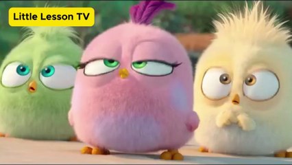 Baby Birds Best Scene | Angry Bird | #BirdLovers #FamilyEntertainment #AngryBirdsFans
