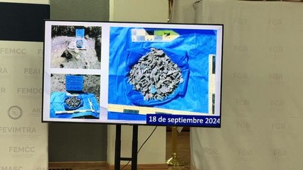 Fiscalía mexicana descarta que finca narco haya sido centro de ejecuciones sistemáticas