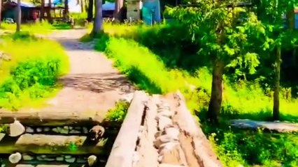 Baluchistan Unveiling the Mystery of Pakistan's Largest Province