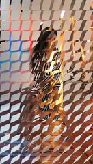 Katrina Kaif  Vertical Edit