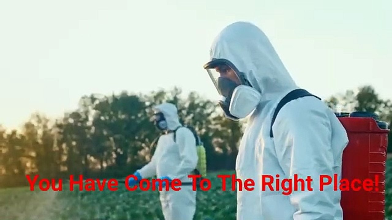 Bed Bug Termite & Pest Control in Katy, TX