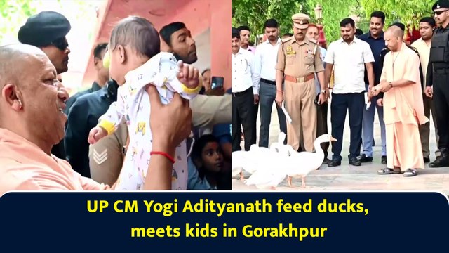 Uttar Pradesh Chief Minister Yogi Adityanath feed ducks in Gorakhpur