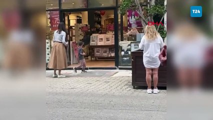 Yavru yaban domuzu iş yerine daldı; o anlar kamerada