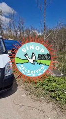 Sinop Belediyesi sivrisivekle mücadele ediyor