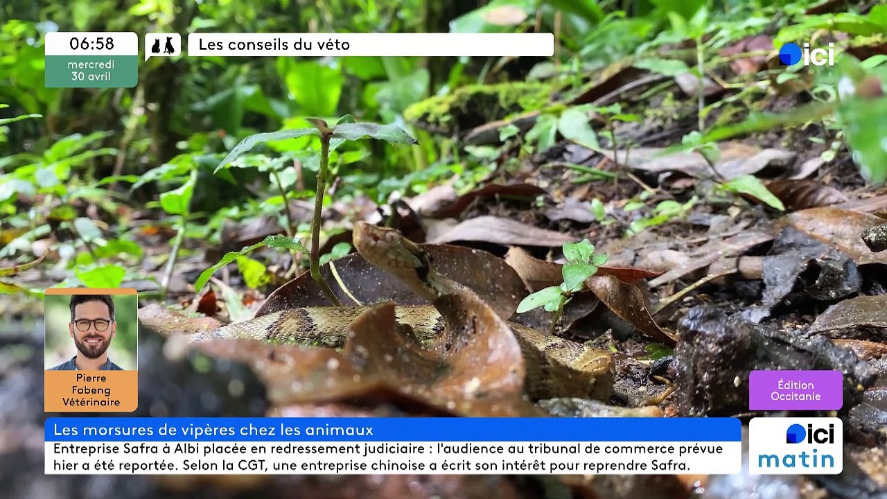 30/04/2025 - ici matin par ici Occitanie en vidéo
