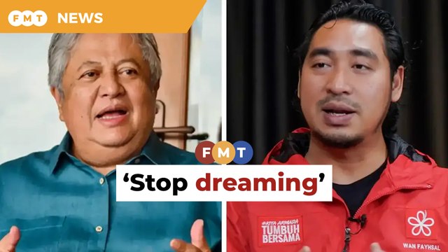 Don’t compare M’sia with ‘real tigers’, Zaid tells Wan Fayhsal