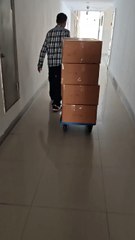 **🚀 Non-Stop Shipping! �**