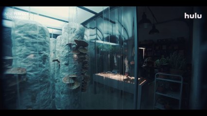 Nine Perfect Strangers - Season 2 Official Trailer