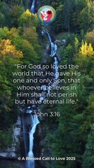 Word of God John 3:16 Scripture Video