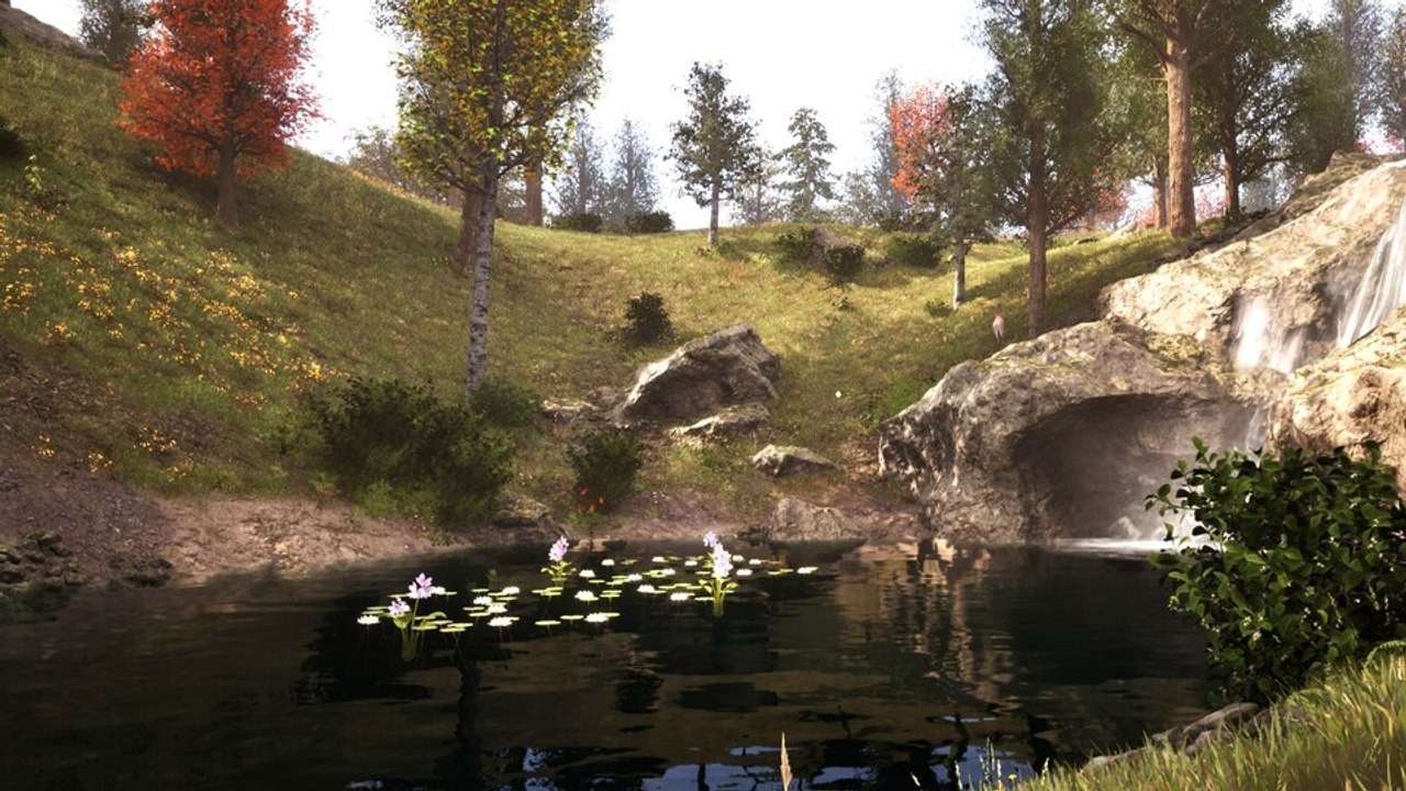 Oblivion Remastered: Mitten im Wald finden wir ein einsames Haus mit einem Geheimnis