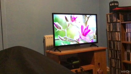 Rantbox Revival Series 3 Episode 8 Part 3: Gardeners’ World