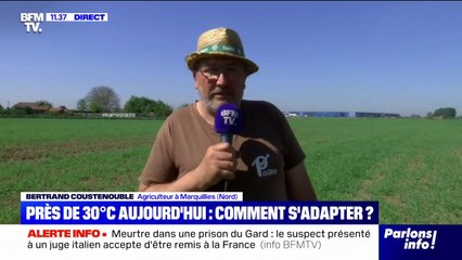 Températures estivales: "On a des cultures qui souffrent", affirme cet agriculteur dans le Nord