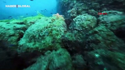 Karadeniz’in su altı güzellikleri gün yüzüne çıkacak