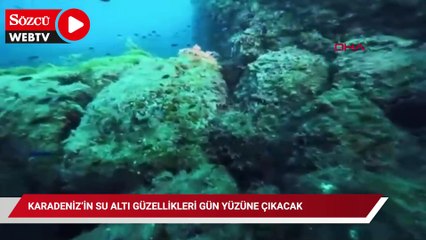 Karadeniz’in su altı güzellikleri gün yüzüne çıkacak
