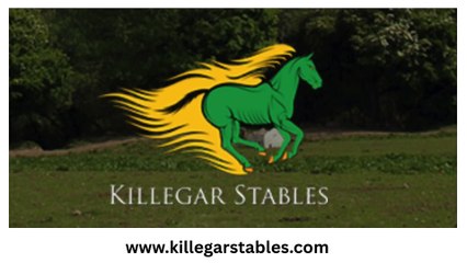 Horse Riding Lessons