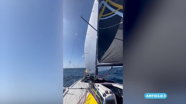 Transat Paprec 2025 : Du drone, des dauphins, du soleil et de la bonne humeur à bord des bateaux en ce 4e jour de course!