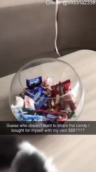 Share the candy!