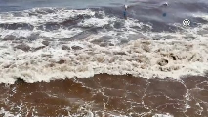 Tekirdağ'da poyraz sahile kırmızı yosun taşıdı