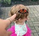 Butterfly on Butterfly Head 🤩