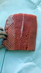 Fine food √Food √ Food √ FOOD