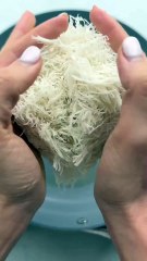 Fine food √Food √ Food √ FOOD