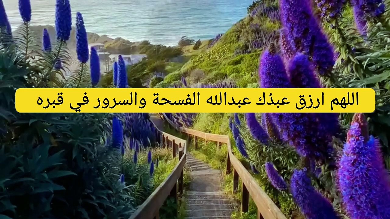 . قران كريم بصوت جميل صدقه جاريه على روح فقيد الشباب مهندس عبدالله ياسر عبدالله -١٥٤٩١٦