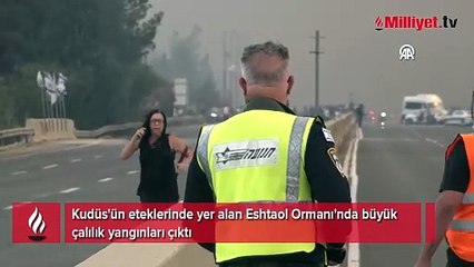 Kudüs-Tel Aviv otoyolunda yangın! Bölge tahliye edildi