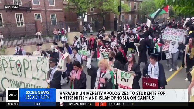 Deux rapports distincts sur Harvard établissent qu'un climat antisémite et anti-musulman s'est installé sur le campus de la prestigieuse université américaine