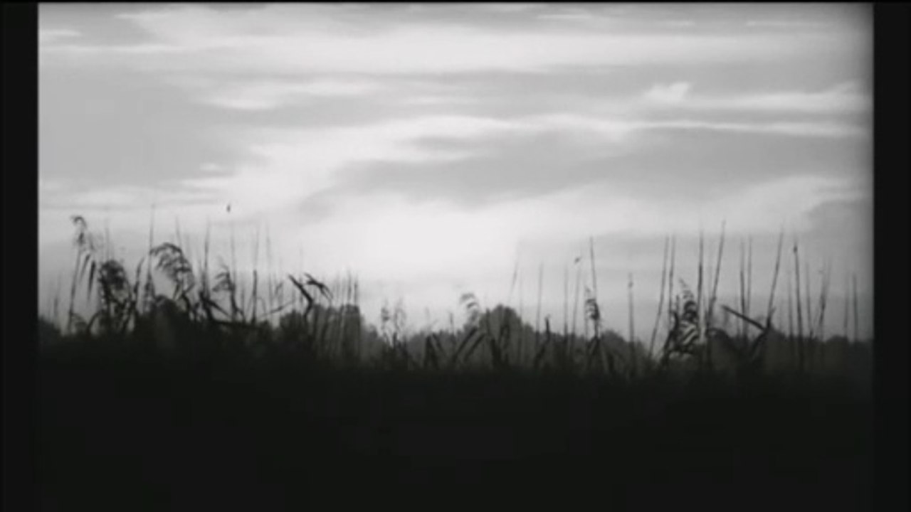 Nobody's Perfect - A Quoi Je Sers