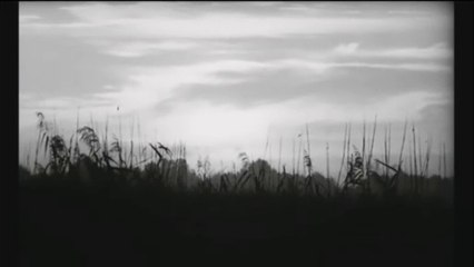 Nobody's Perfect - A Quoi Je Sers