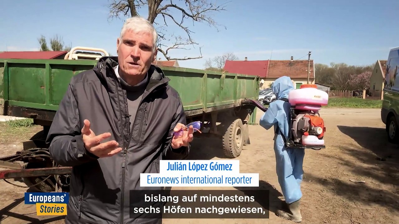 Wie bekämpft die Europäische Union den jüngsten Ausbruch der Maul- und Klauenseuche?