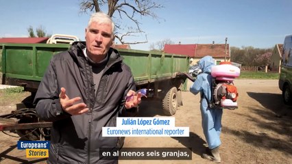 ¿Cómo se enfrenta la Unión Europea al último brote de fiebre aftosa?