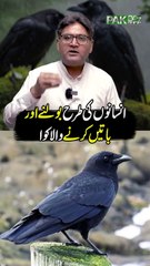 انسانوں کی طرح بولنے اور باتیں کرنے والاکوا_20250430_174202