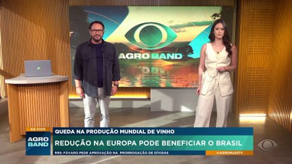 Queda na produção mundial de vinho pode beneficiar o Brasil