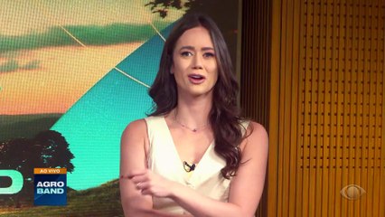 Giro Brasil: colheita de caqui e safra da cana de açúcar