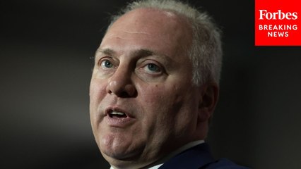 'They Are Void Of Any Ideas': Steve Scalise Hammers 'Leaderless' Democratic Party